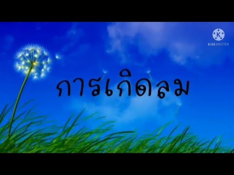 การเกิดลม วิทยาศาสตร์ ป.3