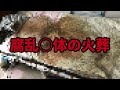 腐乱○体の火葬 〜孤独○の現実〜