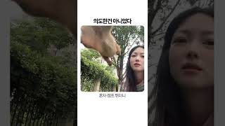 셀카 중에 뒤돌려 차기 시전