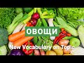 Basic Russian 2: Vocabulary on Topic “Vegetables”