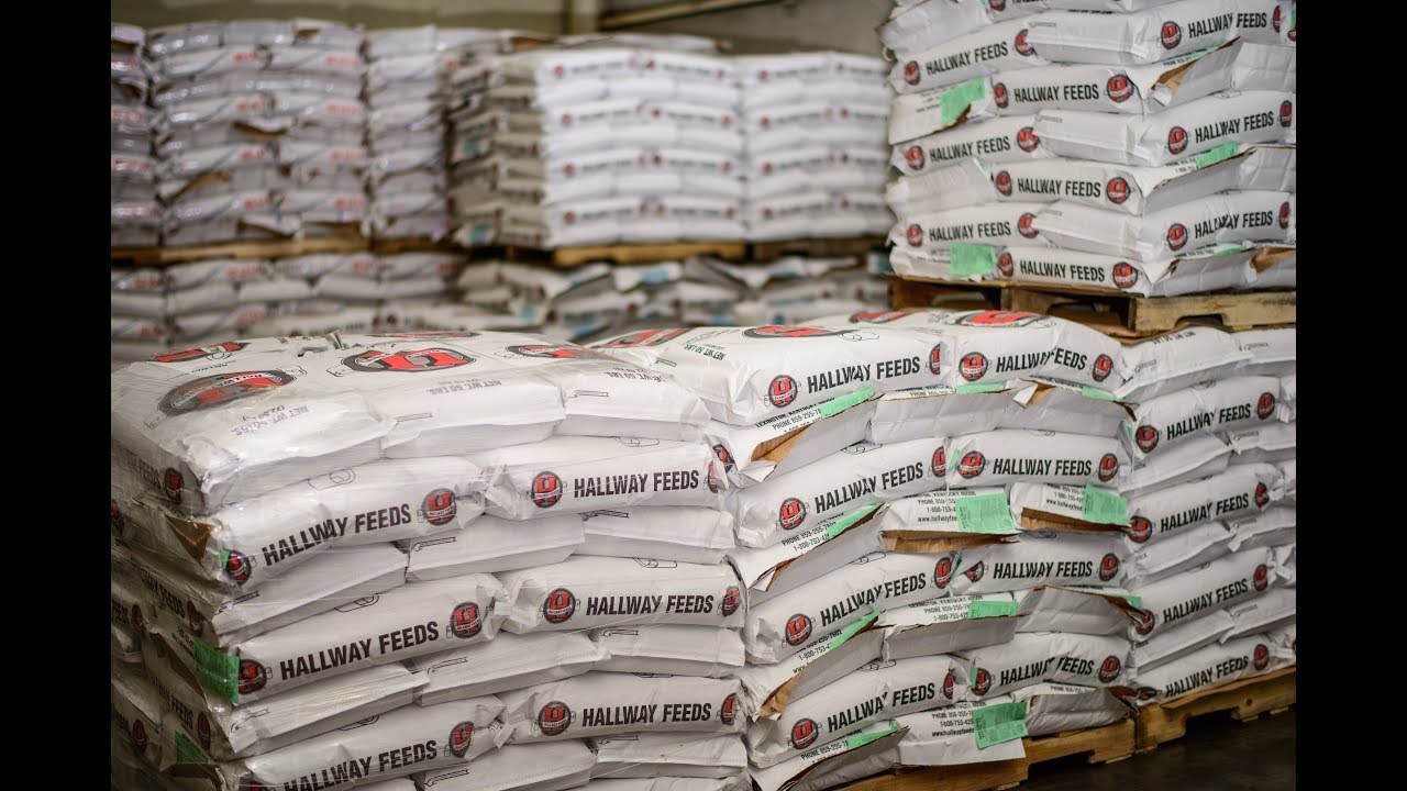 Hallway Feeds: A Quick Look at Our Distribution Facility