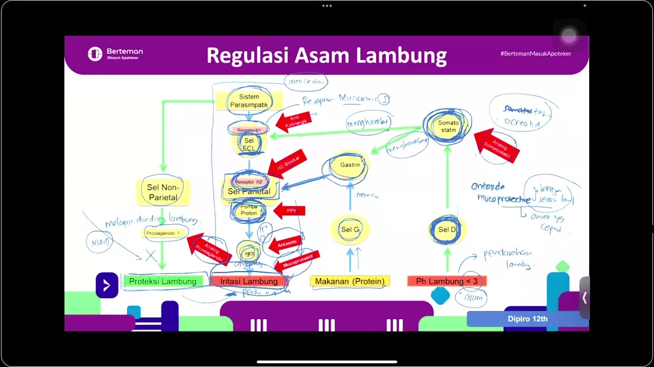 P2   PART 3   SALURAN CERNA & NAFAS   18'12'2025