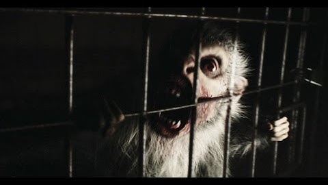 [REC] 4: Apocalypse Clip - Zombie Monkey