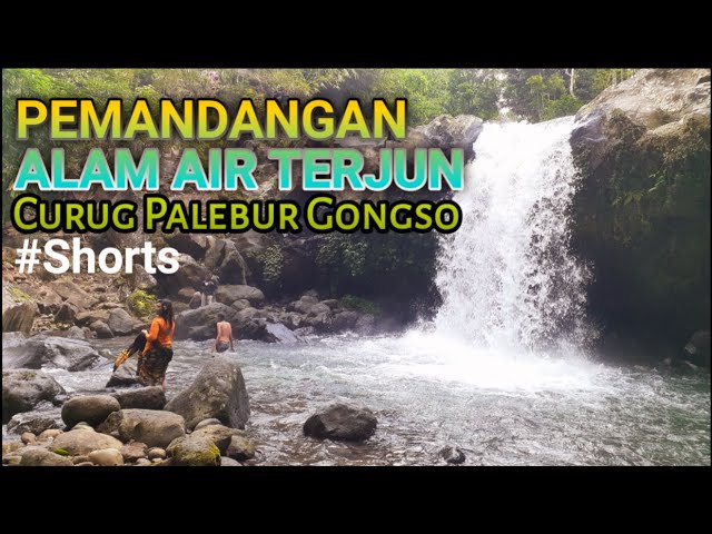 Natural Scenery of Curug Palebur Gongso Limbangan Waterfall #shorts class=