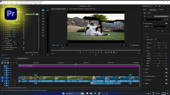 Best Wedding Cinematic highlight Premiere pro project | Wedding Teaser Premiere pro project