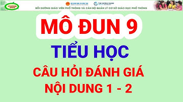 Mô Đun 9 Tiểu Học: Đáp án câu hỏi đánh giá nội dung 1 và 2 Mô Đun 9 Tiểu Học/LÊ KHƯƠNGĐL OFFICIAL