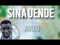 Komando wa Yesu - SINA (Official audio)