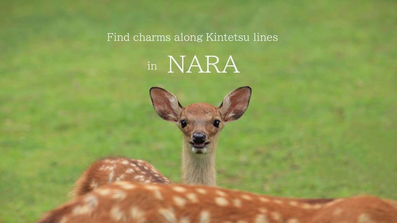 Find charms along Kintetsu lines in NARA