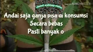 Andai saja ganja bisa di konsumsi secara bebas,pasti banyak orang tertawa di saat ke cewa