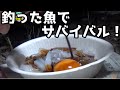 釣った魚で生き延びろ！離島でサバイバル生活＃３