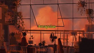 Amapolas (Remix)  Leo Rizzi - Danny Ocean