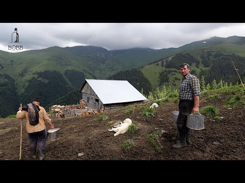 Video: La munții mari fumurii?