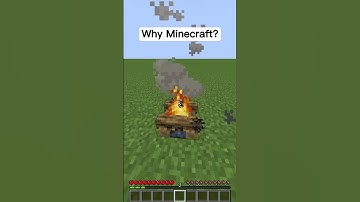 Minecraft Logic 😂 pt.5 #minecraft #shorts #logic #memes
