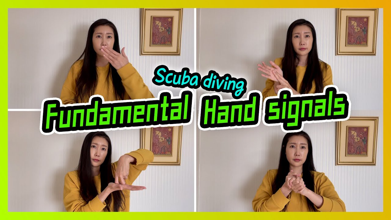 Scuba Diving Hand Signals YouTube
