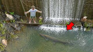 Catching Mystery MONSTERS Under An URBAN Waterfall! (Multi-Species)