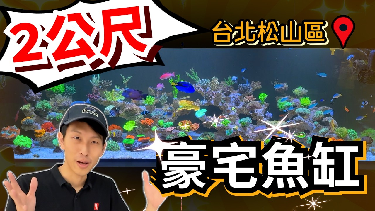 【藍箱水族】開箱豪宅！台北松山230cm超大海水缸！一年完整記錄Howard新家裝潢設缸