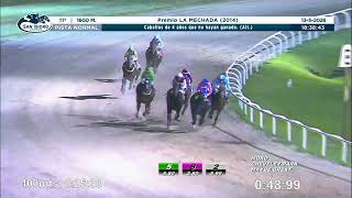 Vidéo de la course PMU PREMIO LA MECHADA 2014