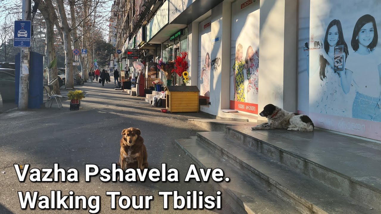 vazha-pshavela-ave-walking-tour-tbilisi-georgia-travel-video-city