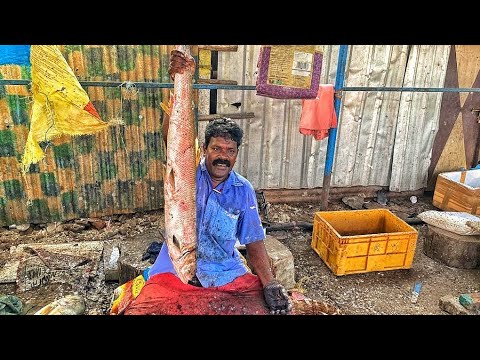 GOLDEN ALATHI FISH CUTS🔪KASIMEDU SEKAR FAST FISH CUTTING🔪KF FISH CUTS ...