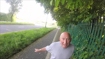 Dog Vs  Cyclist