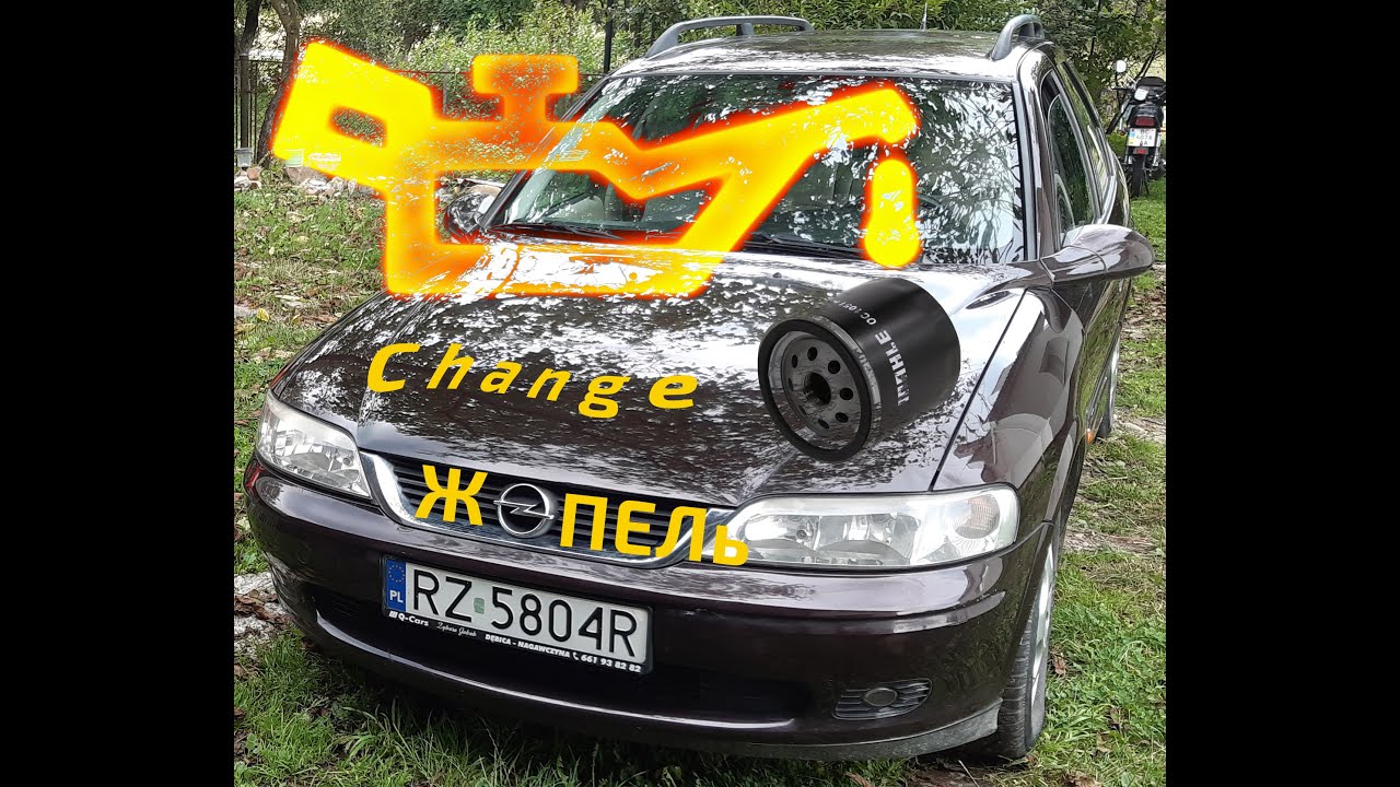 Желтая масленка опель Желтая масленка опель