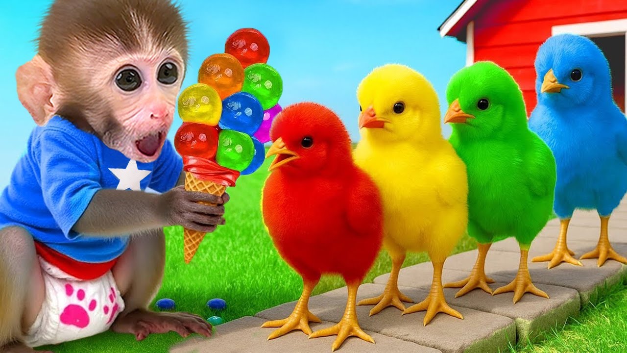 El mono DuDu recoge frutas gigantes y juega con un lindo patito en la granja