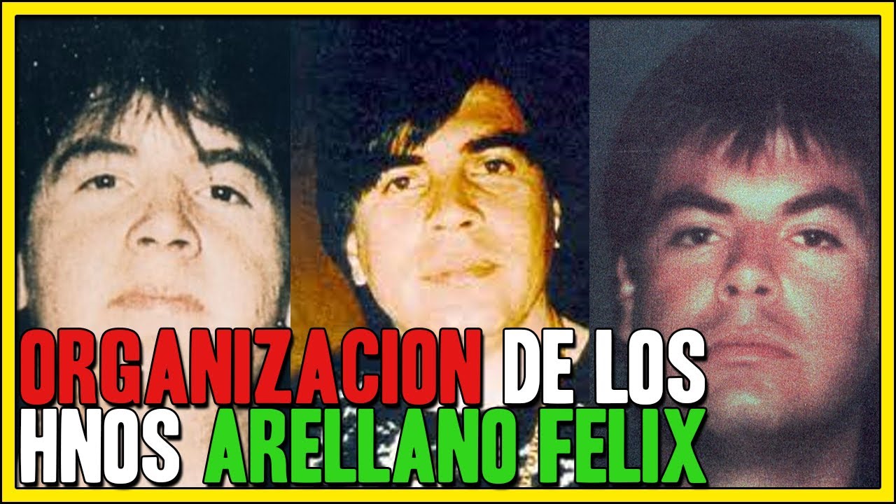La organización de los hermanos ARELLANO FELIX o el CARTEL DE TIJUANA