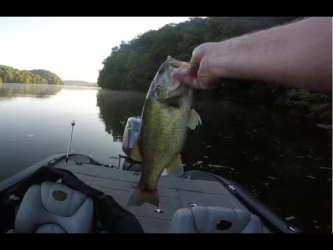 07/11/2024 Normandy Bass Fishing Trip – Great buzzbait catch