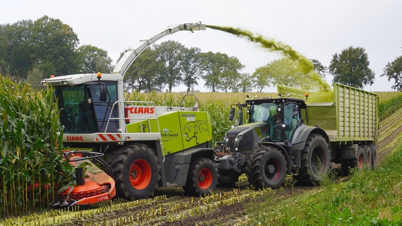 Mais 2024 | Claas Jaguar 900+Axion 870 | Groot transport | Pleizier & Timmer Nijkerk | Maishakselen