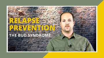 Relapse Prevention: What is the BUD Syndrome? Part 1 for Substance Abuse Recovery - Reach Recovery