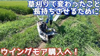 ウイングモア購入！長持ちさせるために - YouTube