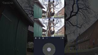 Frühjahrsputz und Springsale