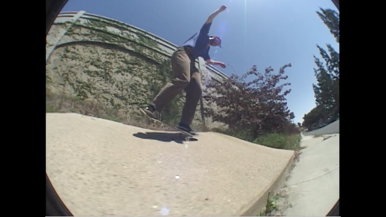 animal style sauce Reef Willard SD 2017