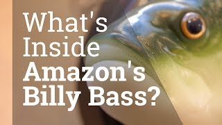 Inside the Alexa Billy Bass