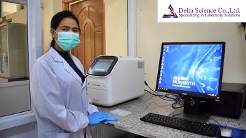 Real-Time PCR System