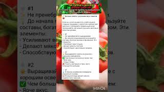 дачные советы, помидоры