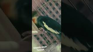 Geçmiş Olsun Türkiye