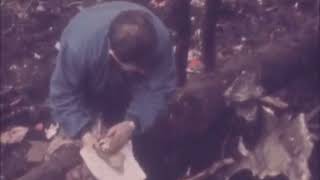 1974 Paris Uçak Kazası Thy 981 Trajedisi Ve Havacılık Tarihinin En Büyük Kazalarından Biri