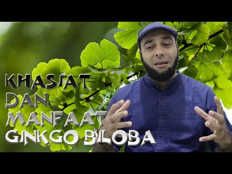 Khasiat dan Manfaat Ginkgo Biloba | dr. Zaidul Akbar