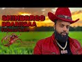 New Oromo Music Faran Sulee 2026 