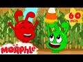 Morphle and orphle find candy corn morphles halloween special  morphlefamily