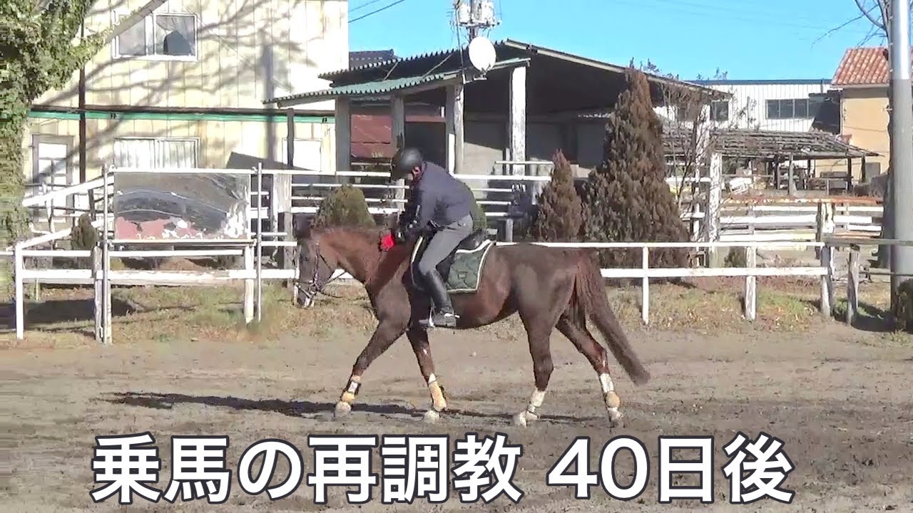 馬場馬術 M1 経路図 馬場馬術 M1 経路図 Mbaheblogjpkbup
