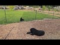 Graham Family Farm NW: 7:25 PM June 25 2025