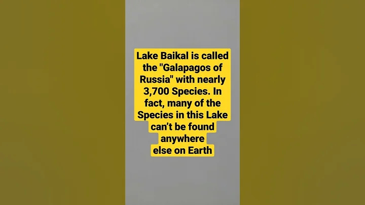 Lake Baikal is called the "Galapagos of Russia" with nearly 3,700 Species