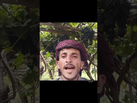 متوجه القمة