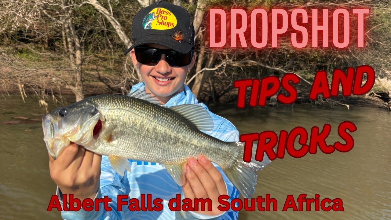 Bass fishing Albert Falls