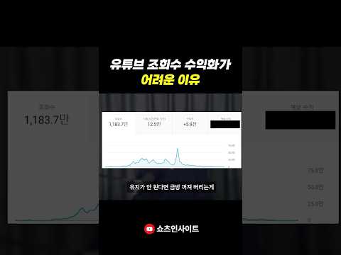 유튜브 조회수익으로 월 천만원 벌기 힘들어요🥵