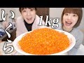 【大食い】1万円のいくら1kgを爆食いするぞ！！