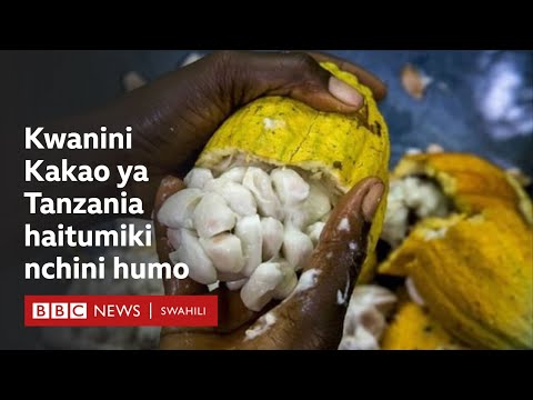 Video: Kwa nini kilimo kimepungua?