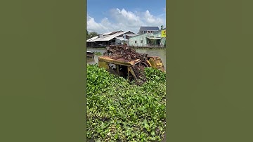 Xáng cạp chìm dưới sông 2 năm vẫn chưa trục vớt #shorts